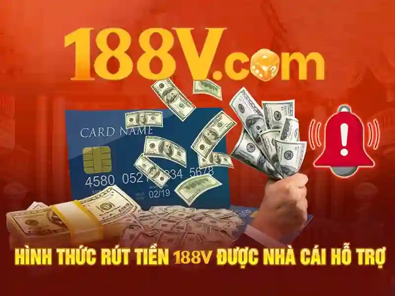 Trải nghiệm người dùng và phản hồi cộng đồng