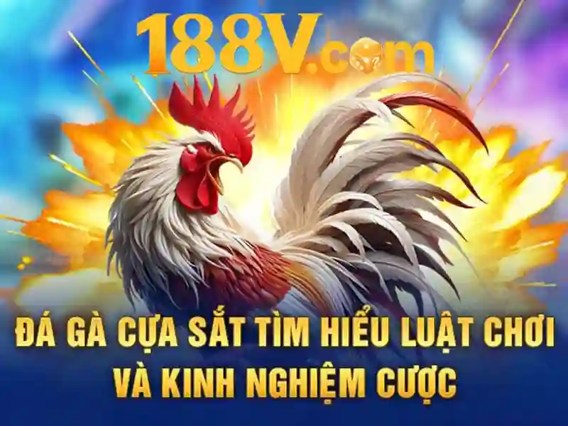 nhận thưởng 188v: Trải nghiệm, đánh giá và hành trình thương hiệu