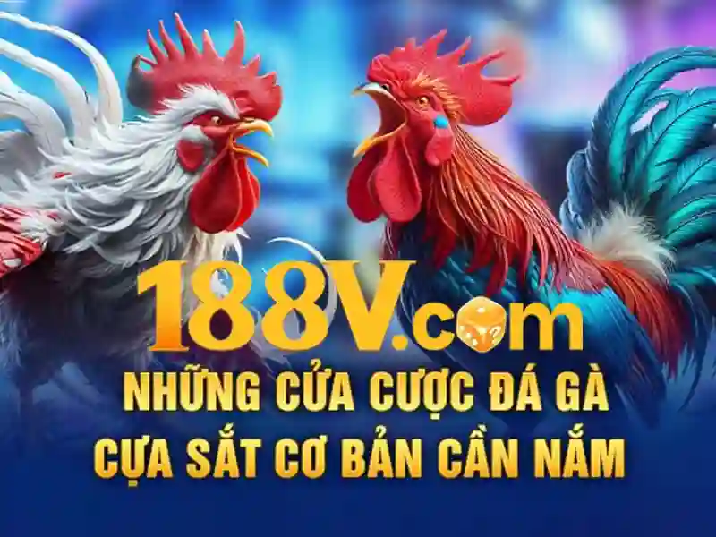 Biểu đồ phân tích và chiến thuật soi kèo hiệu quả