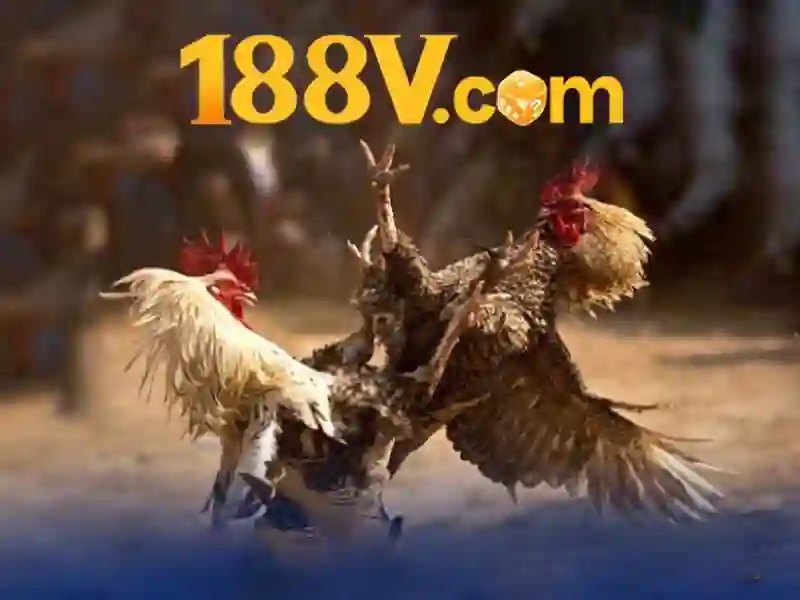 188v com app – Trải nghiệm và đánh giá nền tảng ứng dụng