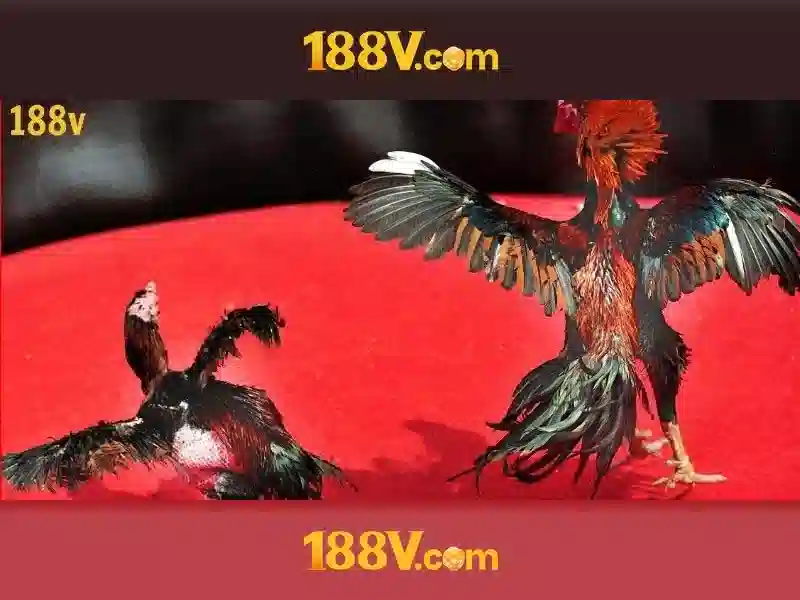 188V: Khái niệm và ứng dụng