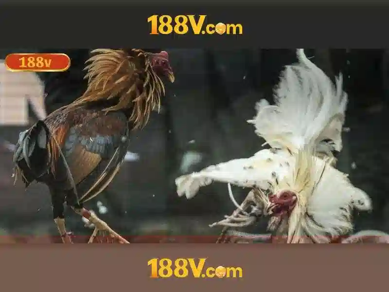 Khái niệm 188v