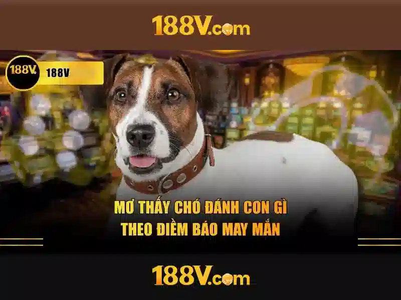 188v: một hành trình khám phá công nghệ và thiết kế