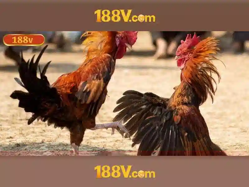 Khám phá 188V: định nghĩa, ứng dụng và an toàn