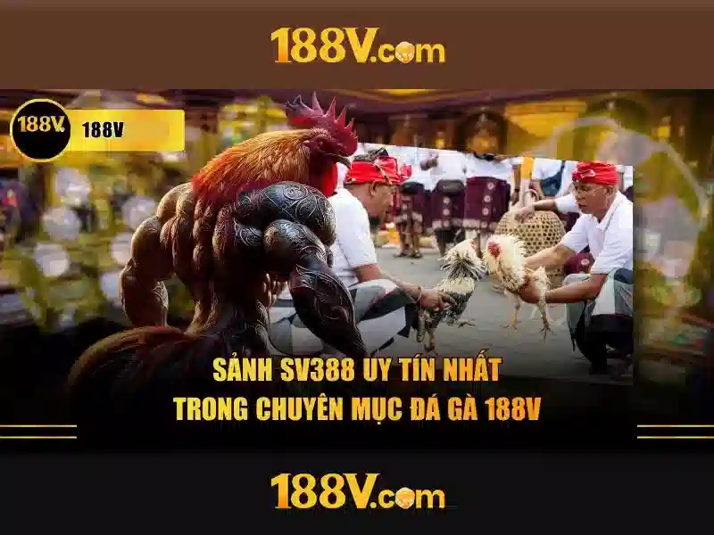 188v rút tiền – Trải nghiệm an toàn và lộ trình phát triển