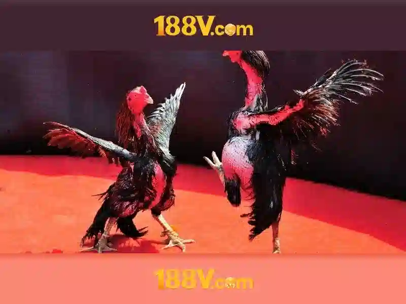 Nguồn gốc và sứ mệnh của 188v.