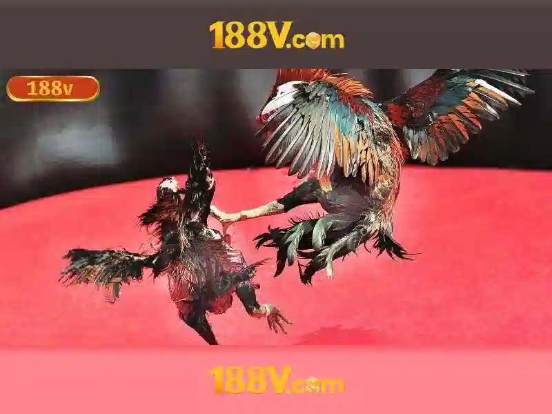 'Sản phẩm và dịch vụ cốt lõi: ứng dụng thực tế của hỗ trợ 188v'