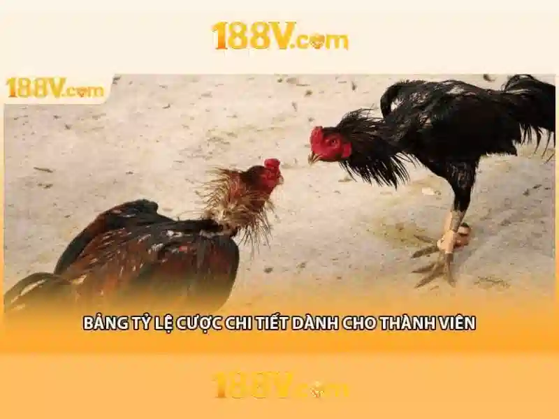 Phản hồi người dùng về nạp tiền 188v