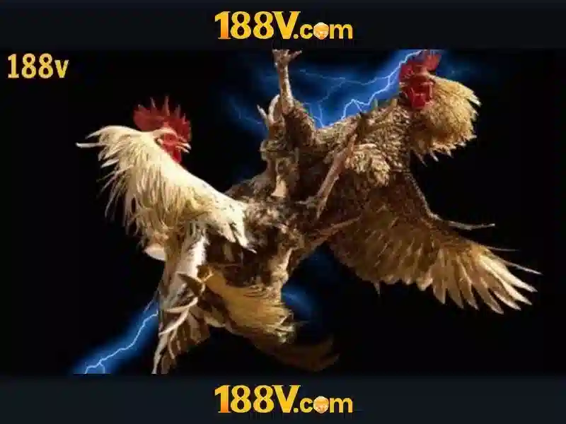 188v link – Tổng quan chủ đề và Giá trị cốt lõi