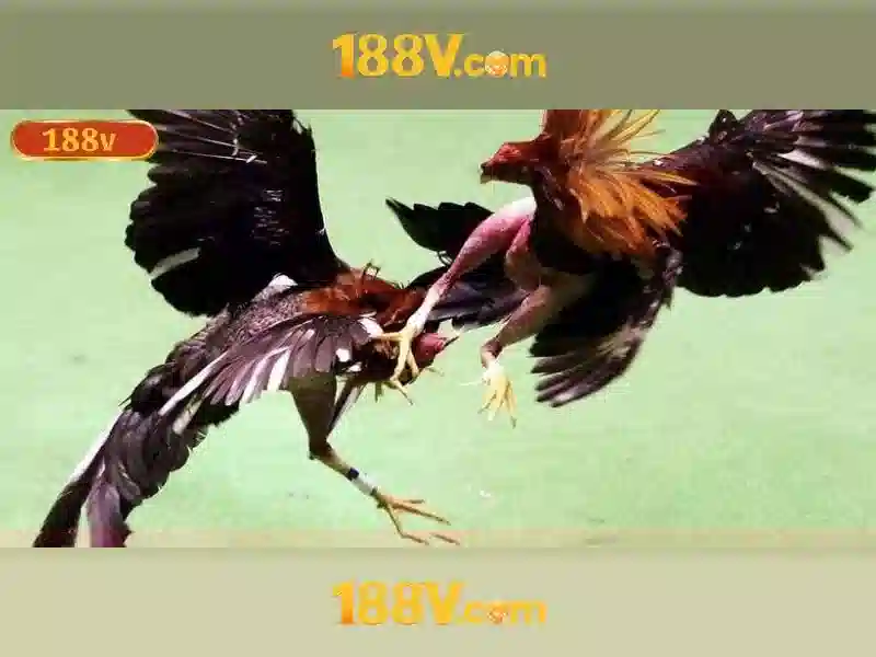 So sánh với các chuẩn điện áp khác