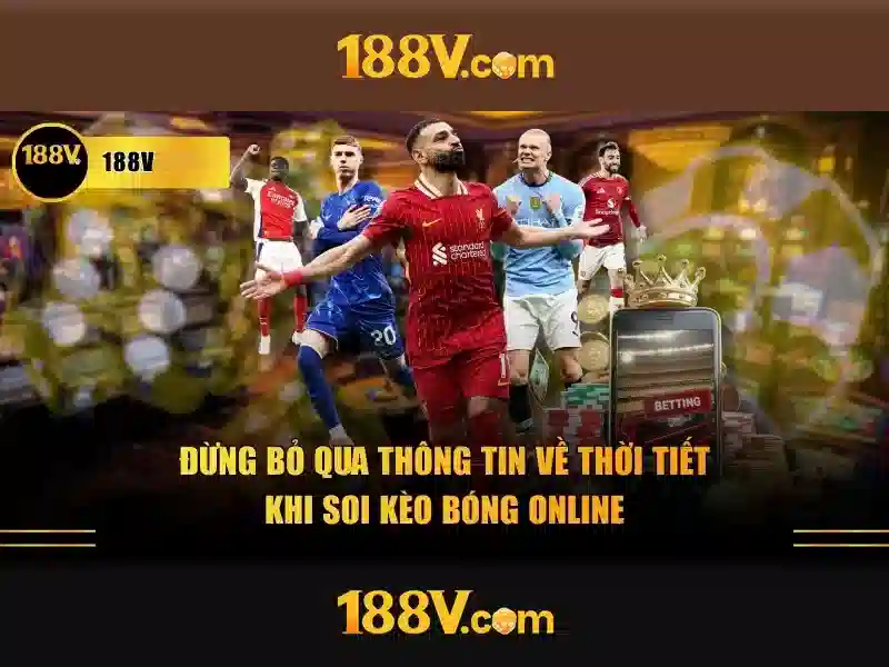 Aesthetic va ung dung