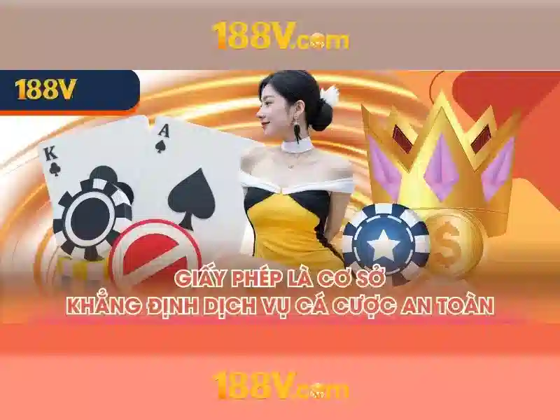 Trải nghiệm người dùng và phản hồi