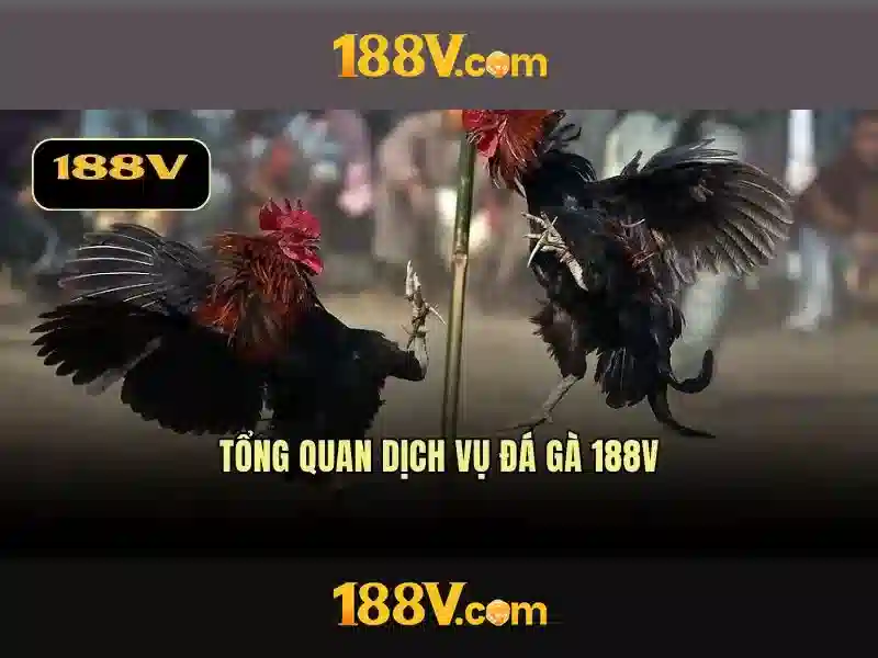 Khởi đầu với 188v