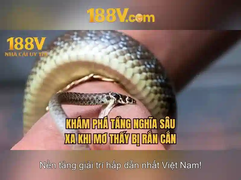 Định nghĩa của 188V và nguồn gốc của nó