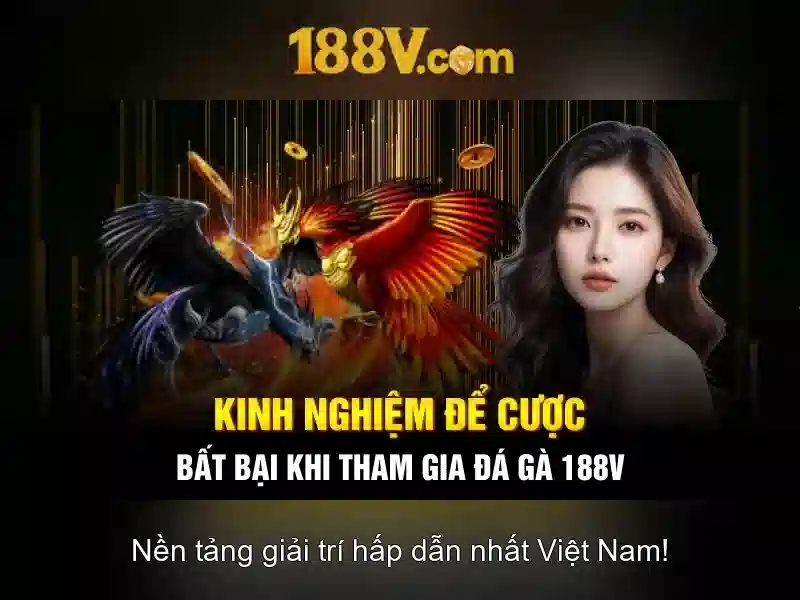 Kham pha 188v: mot khai niem giua cong nghe va doi song