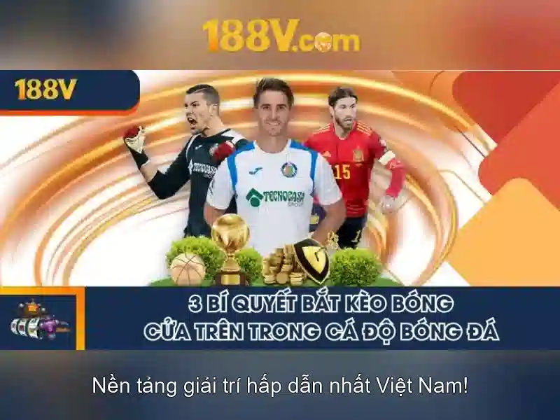 Lịch sử và nguồn gốc