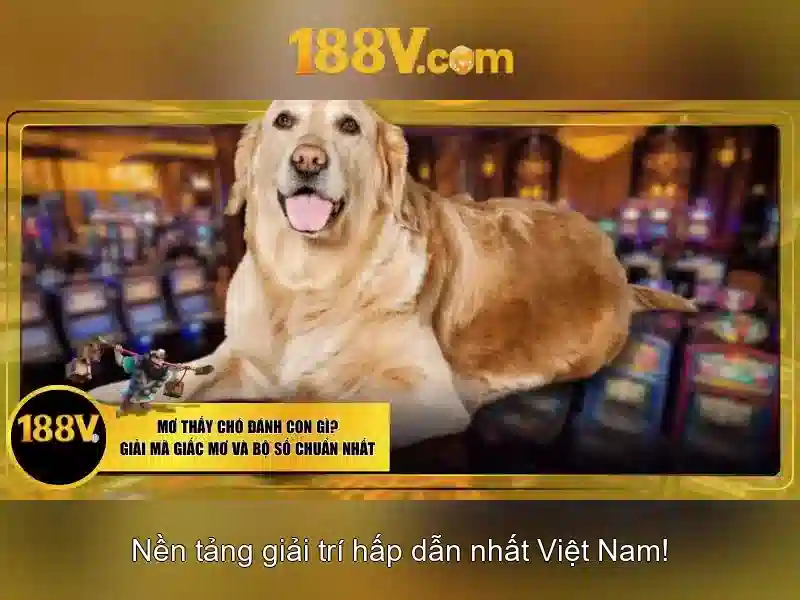 188V: khái niệm, ứng dụng và tương lai