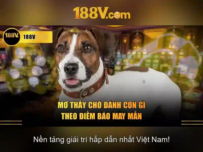 Ứng dụng và tác động đến cộng đồng