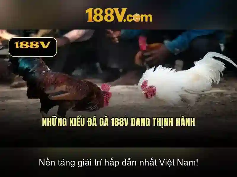 Khám phá 188V: một khái niệm đầy bí ẩn