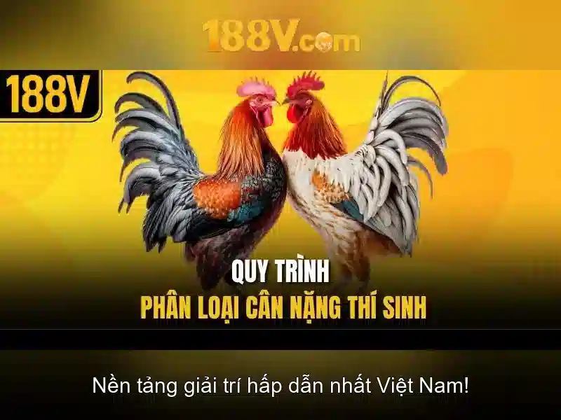 Chương 2: Ảnh hưởng đến chất lượng hình ảnh