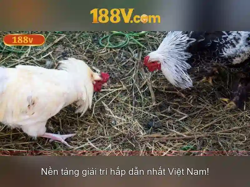 Ứng dụng trong hệ thống điện hiện đại\n\n<h4>Tương lai của công nghệ 188V</h4>\n<p style=