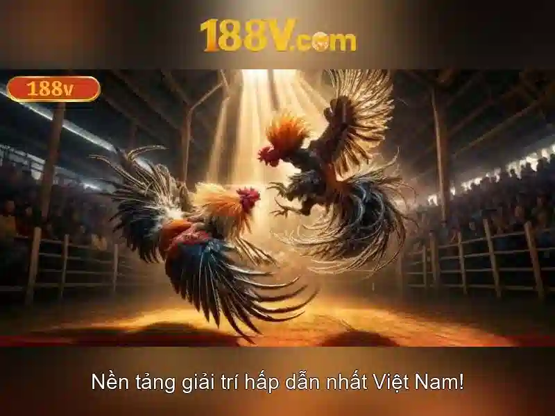 188v là một ký hiệu mang nhiều ý nghĩa