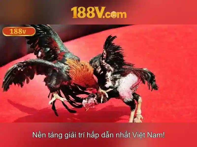 188v là một khái niệm và hành trình của nó