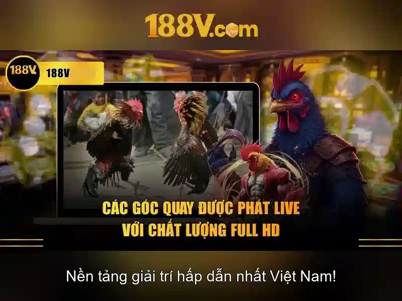 Khám phá 188v: một hành trình sáng tạo và ký ức