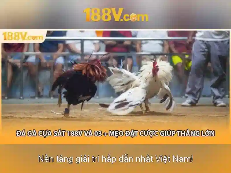 Nguồn gốc và đặc tính của 188V