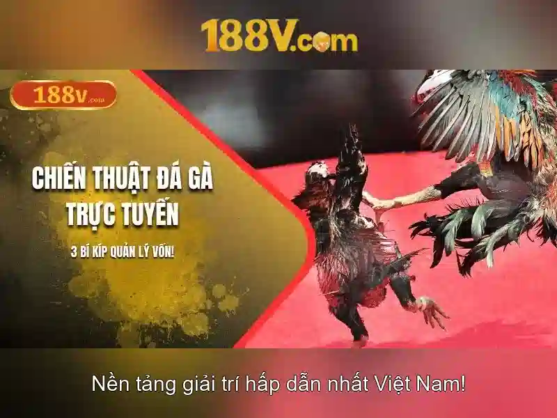 188v: một khái niệm số và ý nghĩa của nó