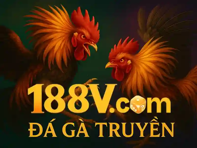 188v có lừa đảo không: phân tích chi tiết và trải nghiệm thực tế