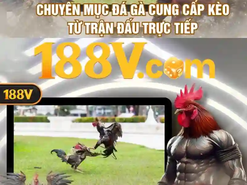 nhận thưởng 188v: Trải nghiệm, đánh giá và hành trình thương hiệu