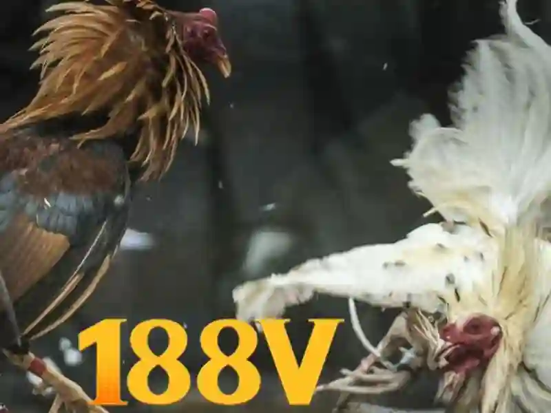 casino 188v - trải nghiệm đỉnh cao và đánh giá chuyên sâu