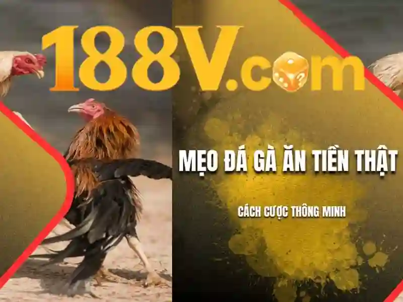 188v nhà cái: trải nghiệm đỉnh cao và hướng dẫn 188v