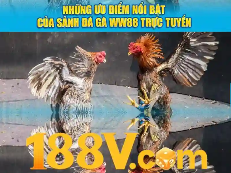 188v nổ hũ – Hành trình thương hiệu và trải nghiệm người chơi