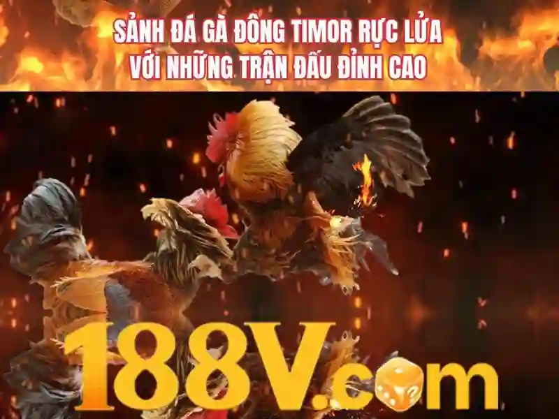 Sản phẩm và dịch vụ cốt lõi: ứng dụng của 188v com tải app